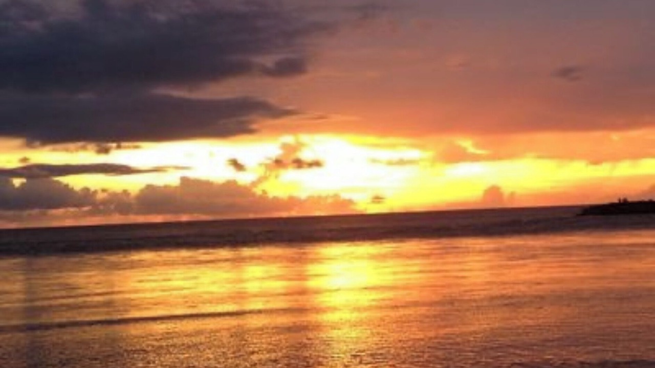 Photo of Others in Sanibel