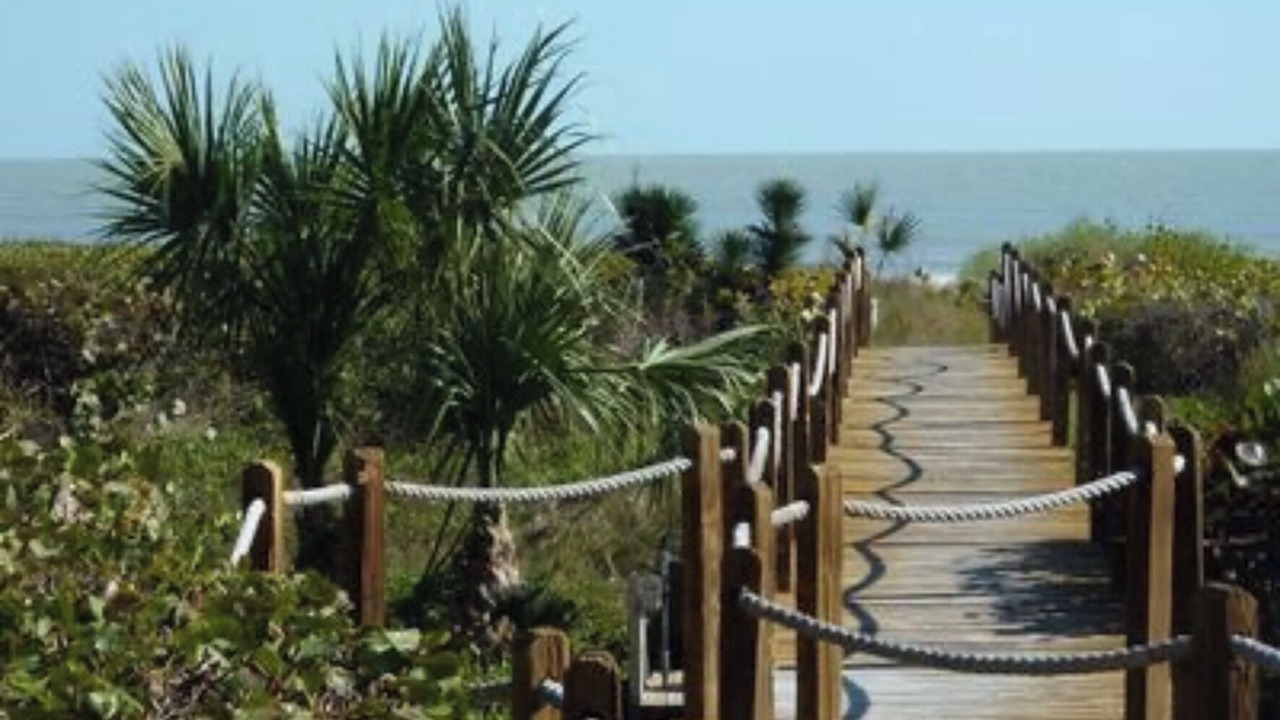 Photo of Others in Sanibel