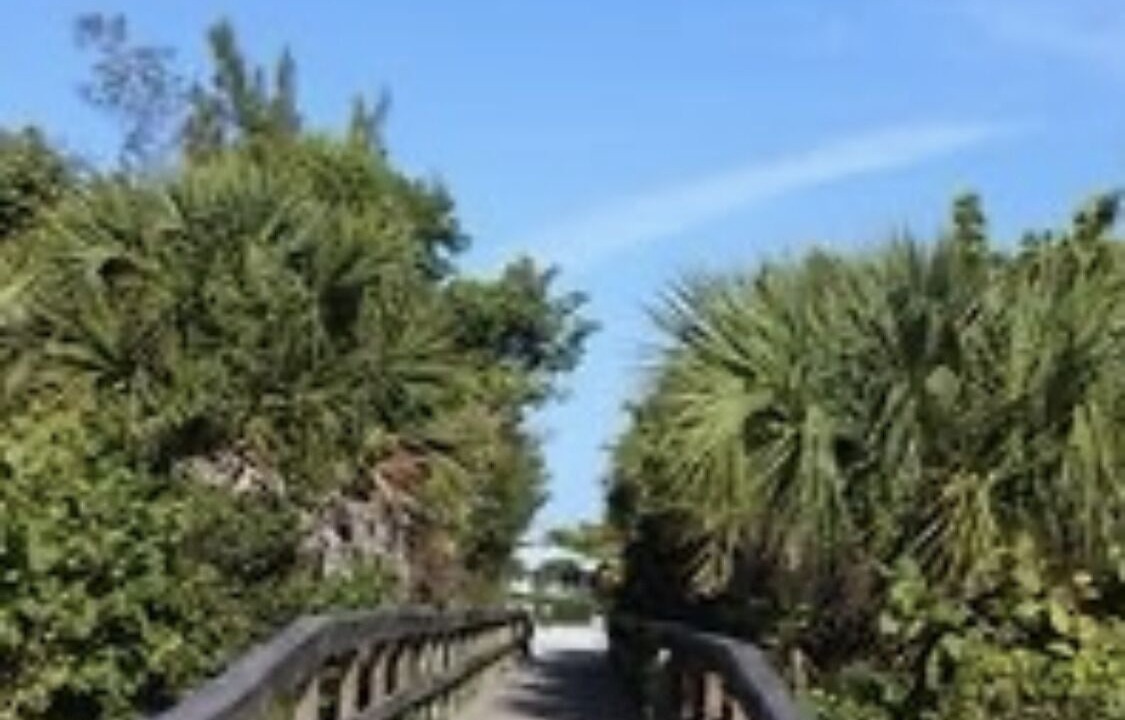Photo of Others in Sanibel