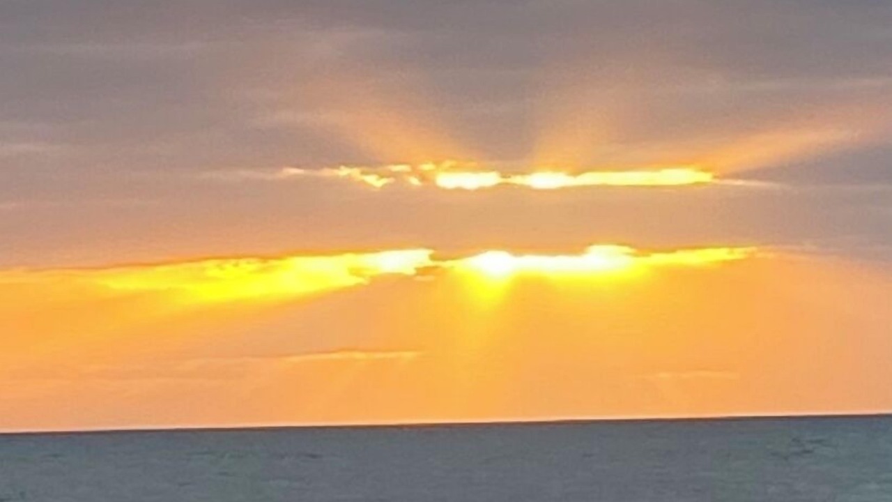 Photo of Others in South Patrick Shores