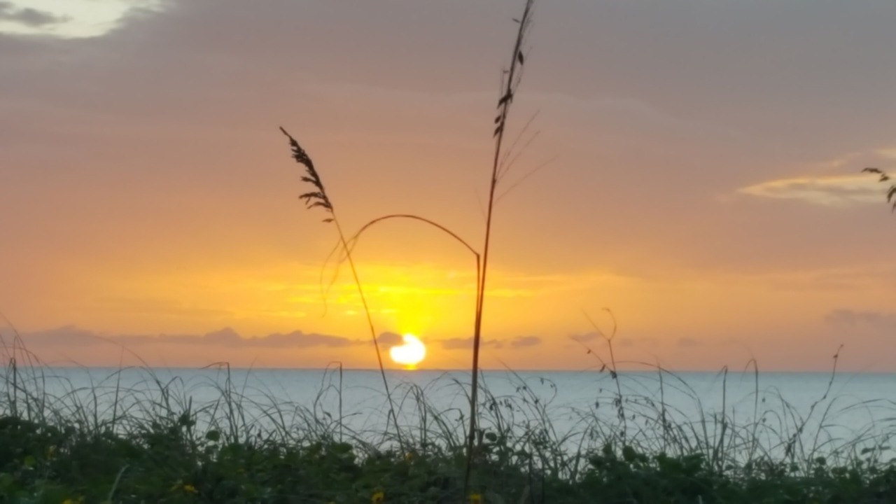 Photo of Others in Siesta Key