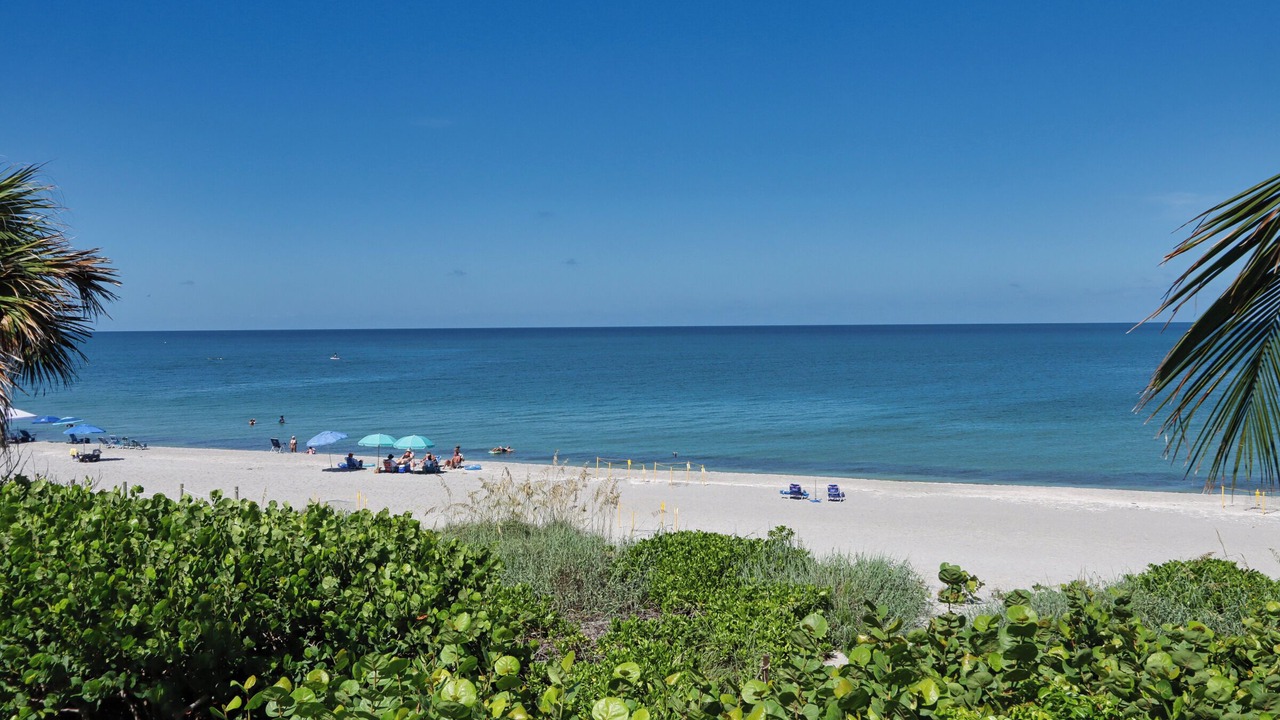 Photo of Others in Captiva