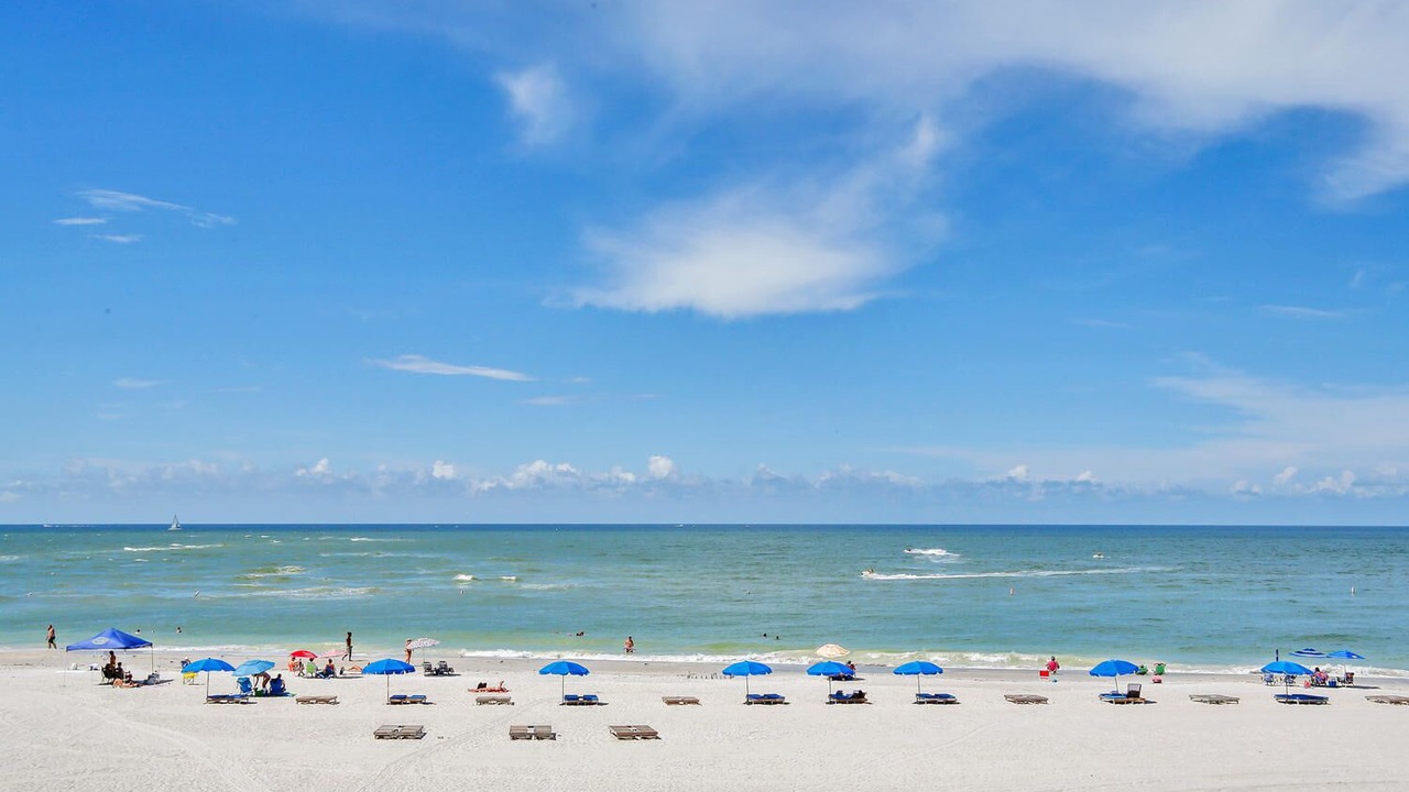 Photo of Others in Madeira Beach