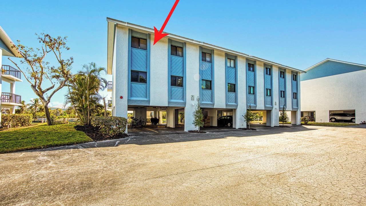 Photo of Outdoor in Shell Harbor