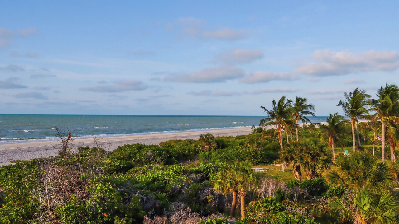 Photo of Others in Sanibel