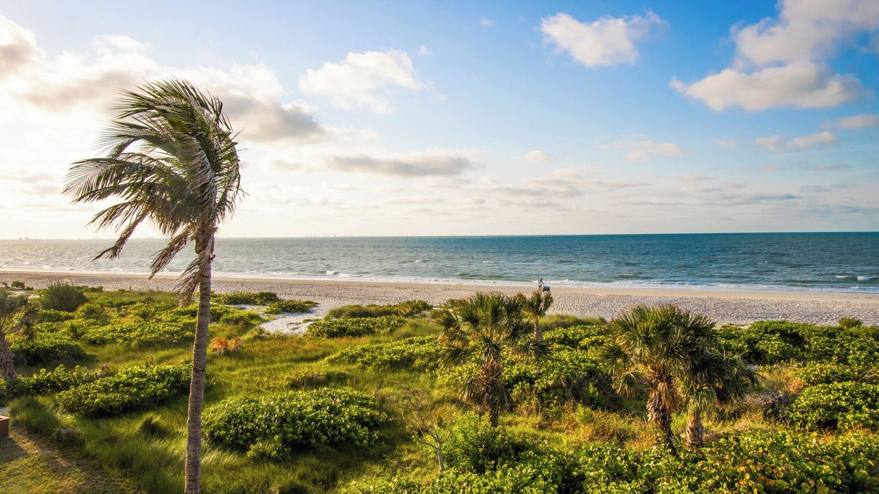 Photo of Others in Sanibel
