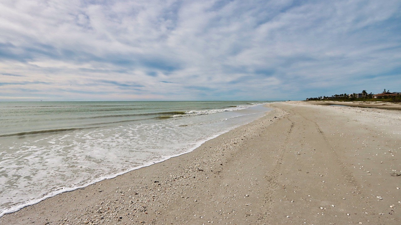 Photo of Others in Sanibel