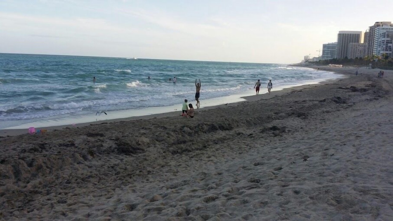 Photo of Others in East Naples