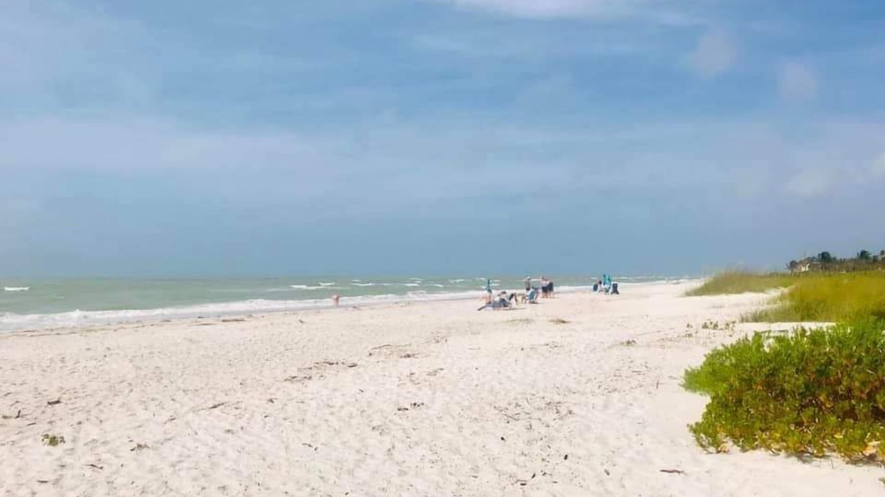 Photo of Others in Sanibel