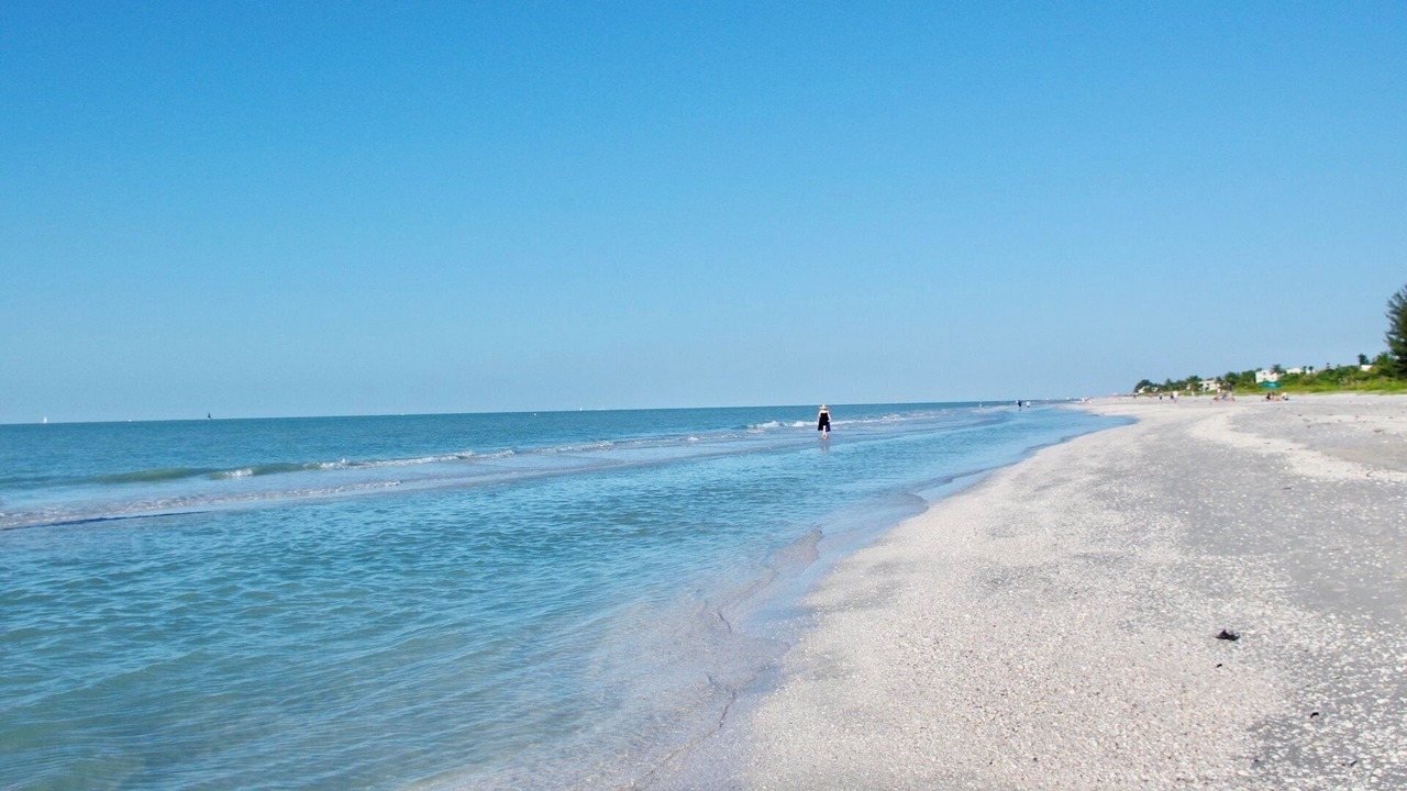 Photo of Others in Shell Harbor