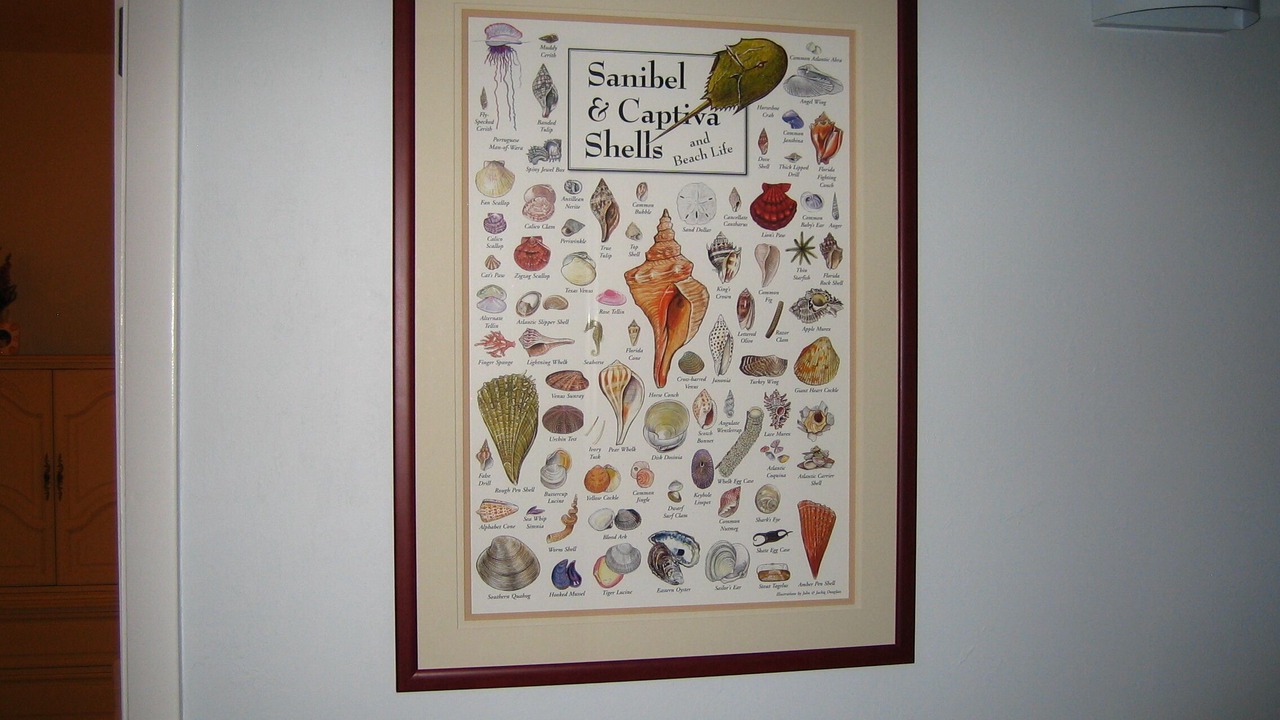 Photo of Others in Sanibel