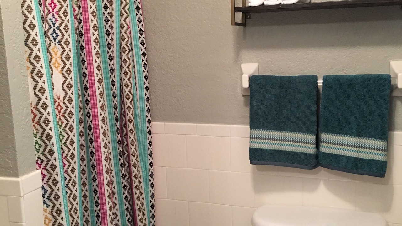Photo of Bathroom in Redington Beach