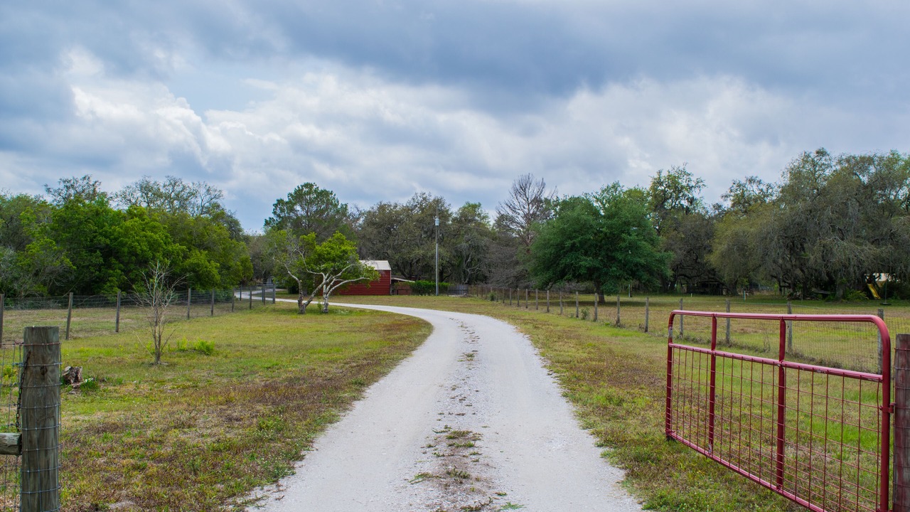 Photo of Others in Myakka City