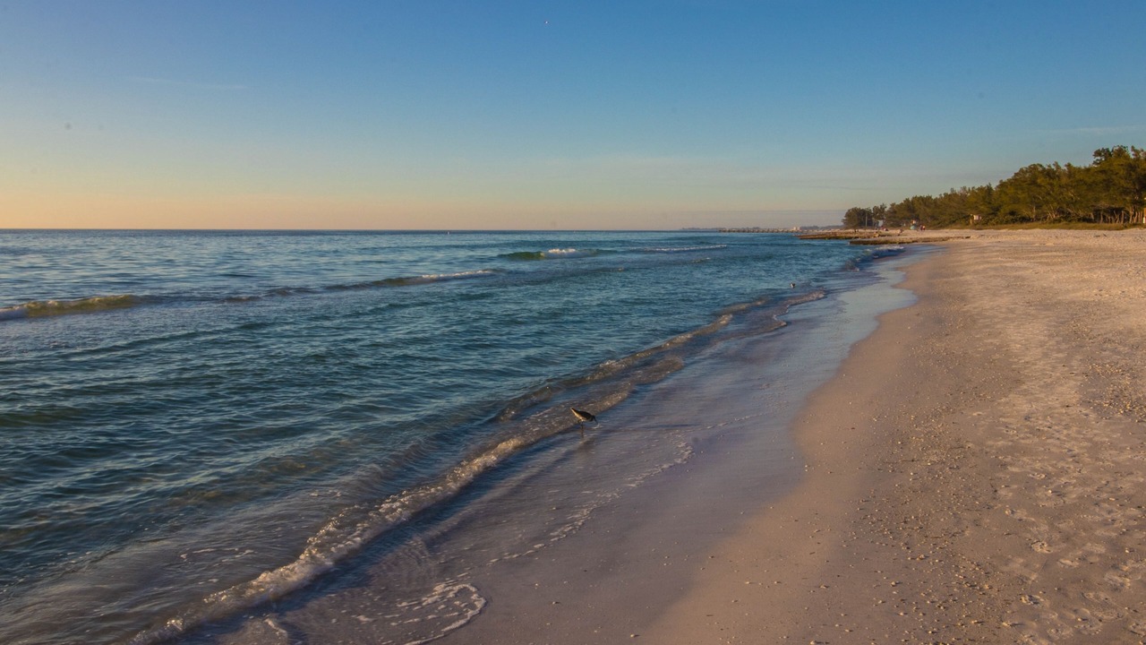 Photo of Others in Holmes Beach