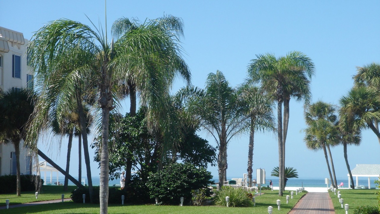 Photo of Others in Siesta Key