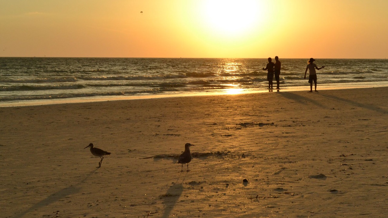 Photo of Others in Siesta Key