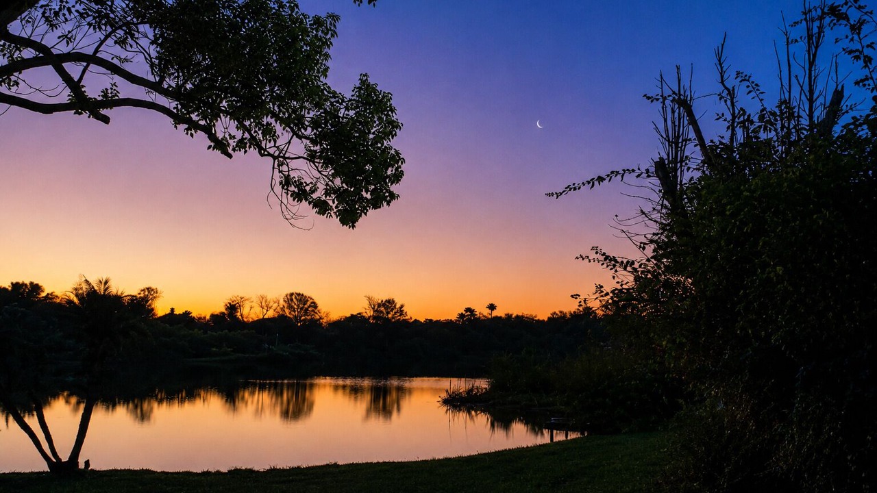 Photo of Outdoor in Lake Padgett Estates East