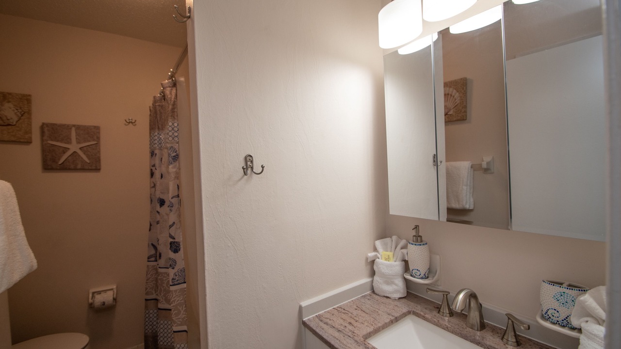 Photo of Bathroom in St. Pete Beach