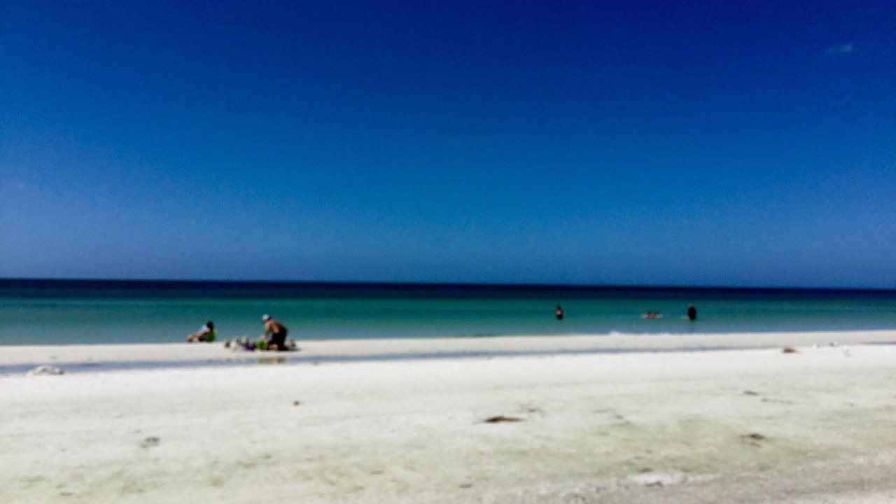 Photo of Others in Siesta Key