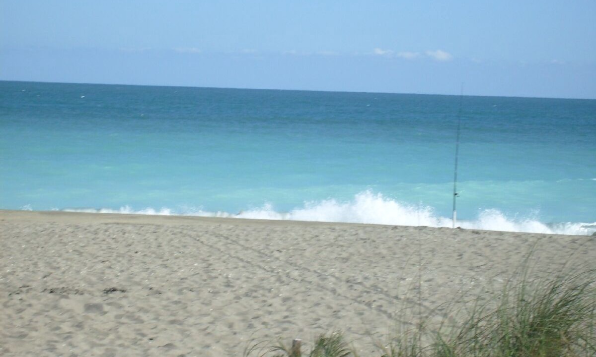 Photo of Others in Fort Pierce