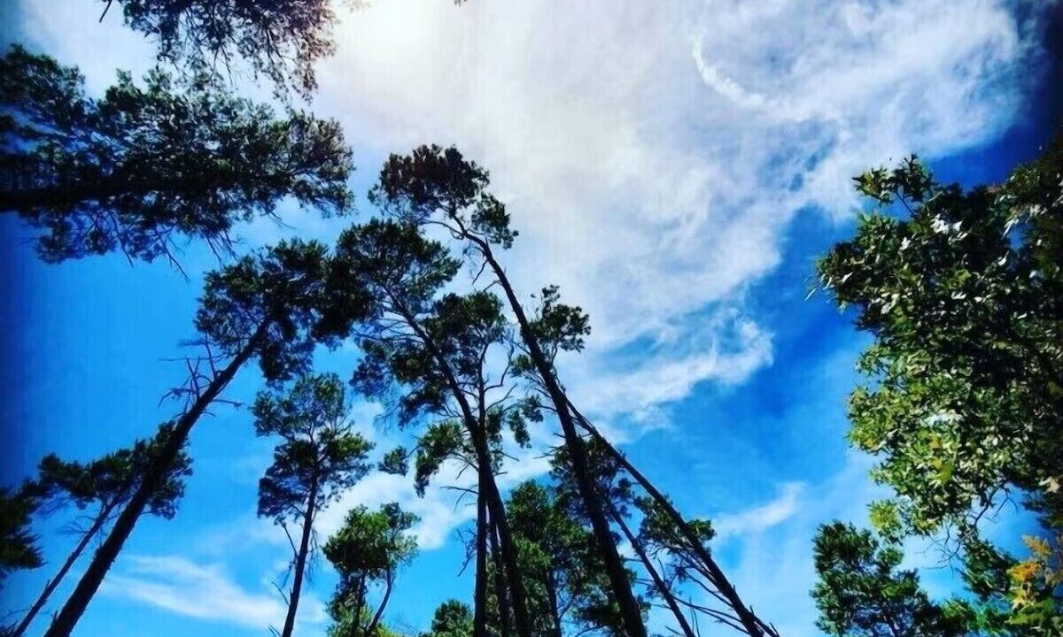 Photo of Outdoor in Lindfields