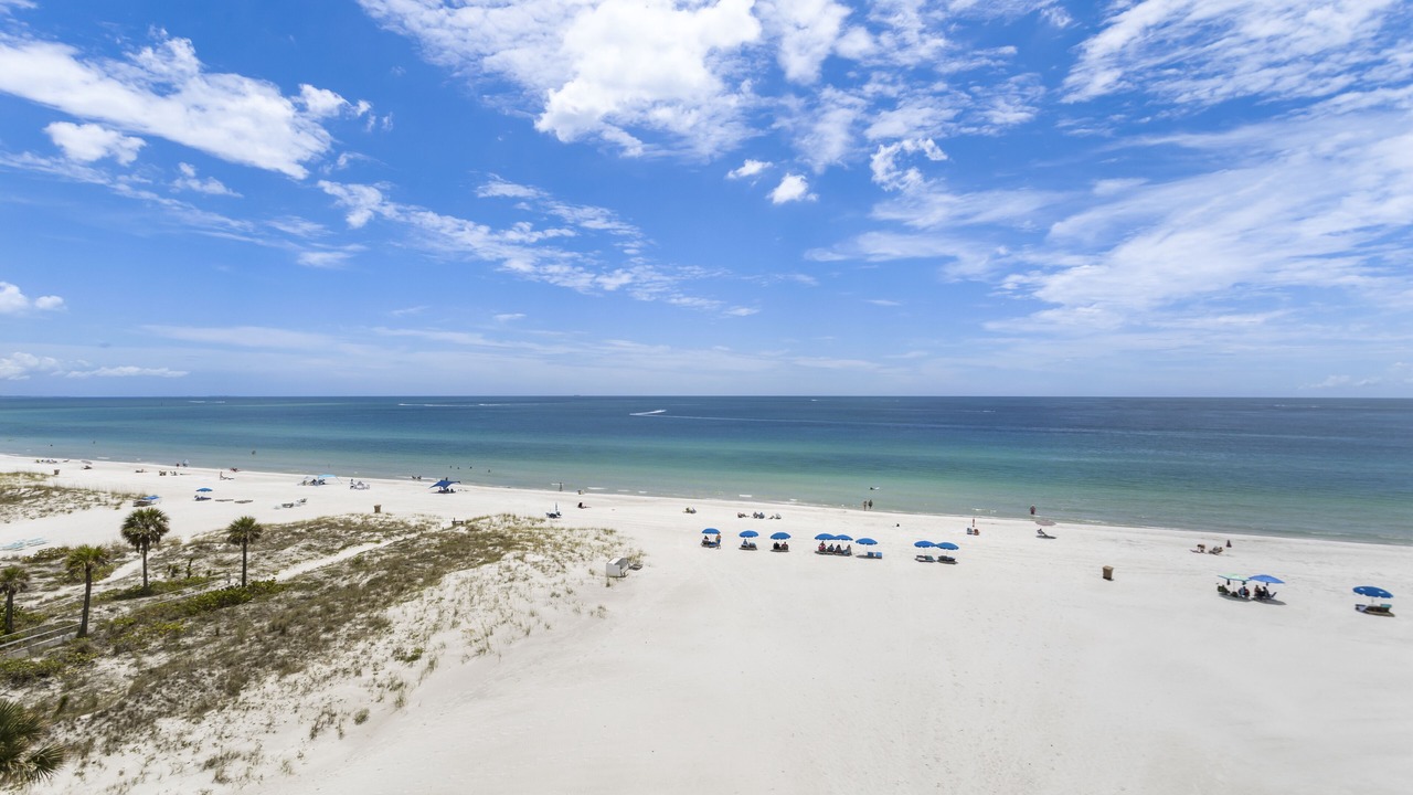 Photo of Others in Madeira Beach