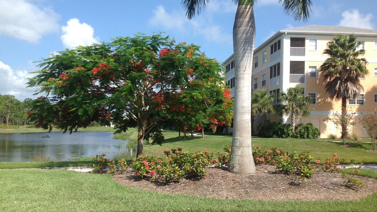 Photo of Outdoor in Cape Haze