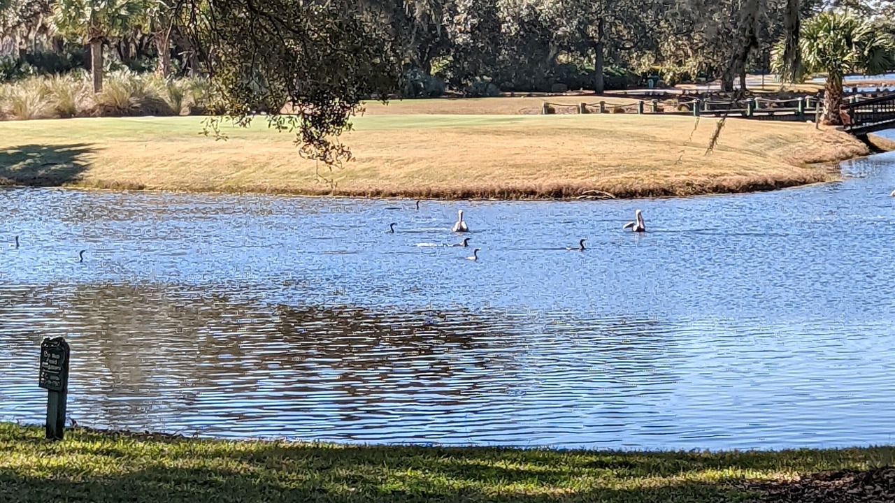 Photo of Others in Sea Pines