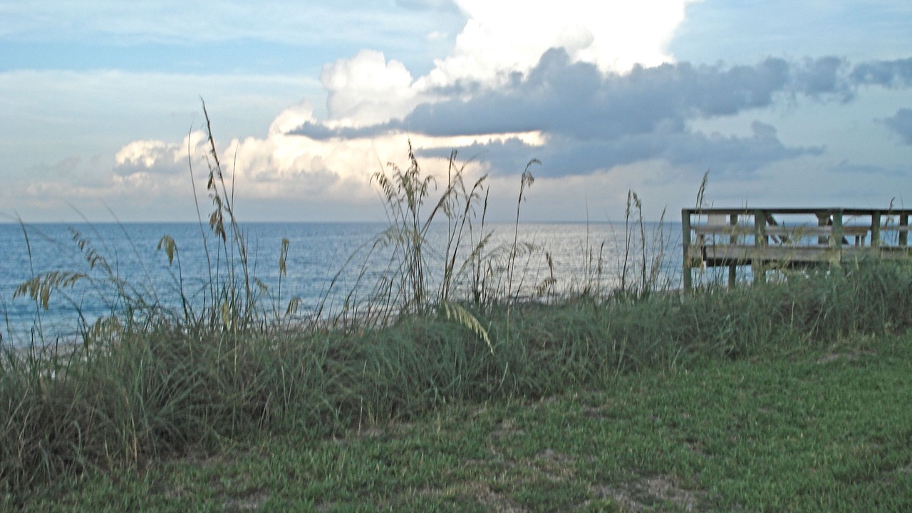 Photo of Outdoor in Indian River Shores