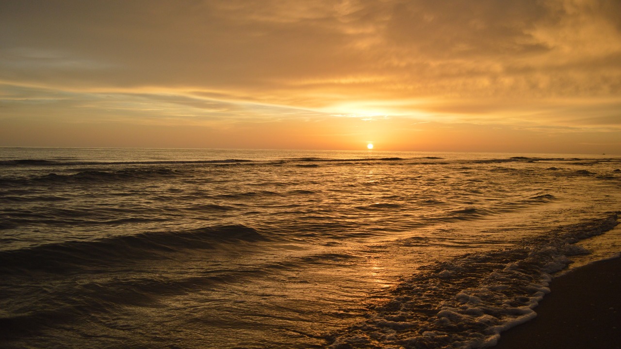 Photo of Others in Siesta Key
