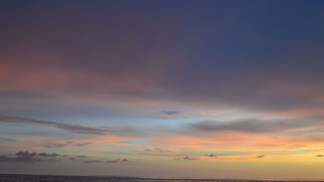 Photo of Others in Siesta Key