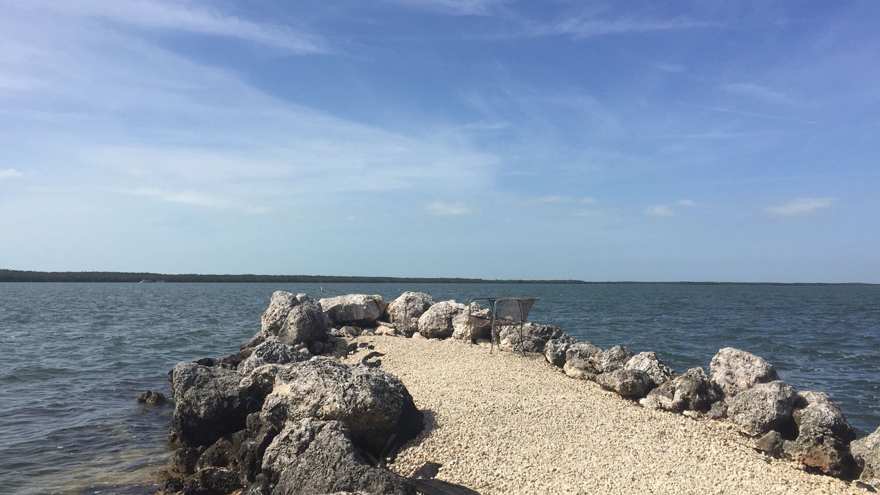 Photo of Others in Key Largo Village