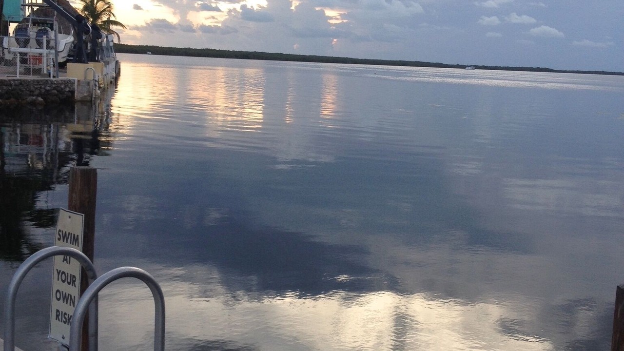 Photo of Others in Key Largo Village