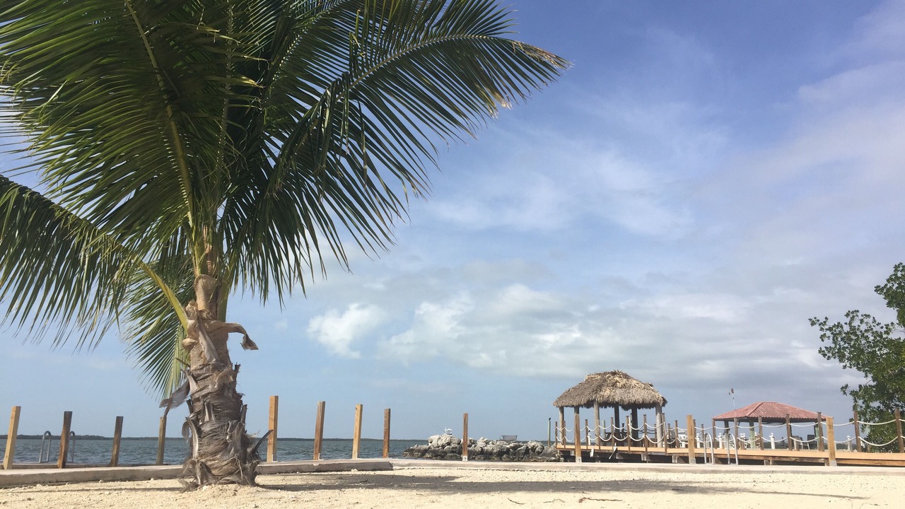 Photo of Others in Key Largo Village