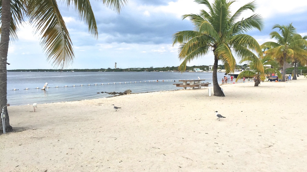 Photo of Others in Key Largo Village
