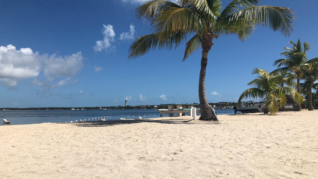 Photo of Others in Key Largo Village