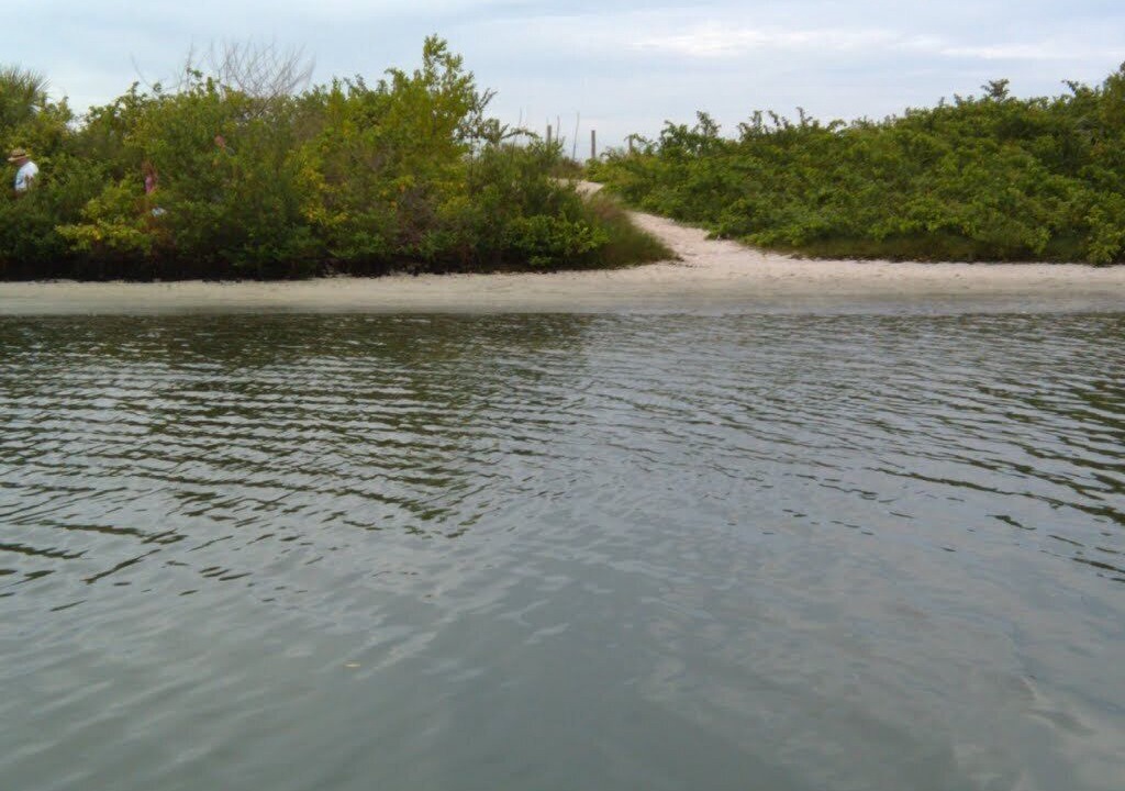Photo of Others in South Pointe of Tampa