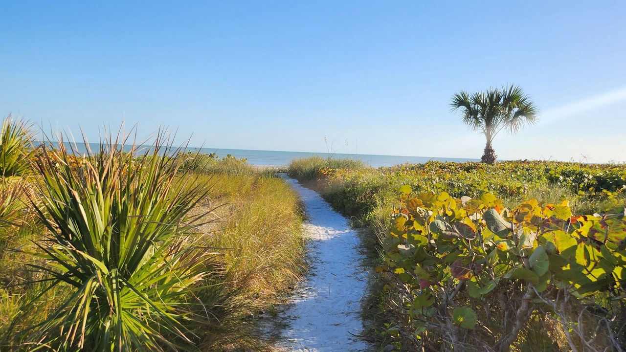 Photo of Others in Sanibel