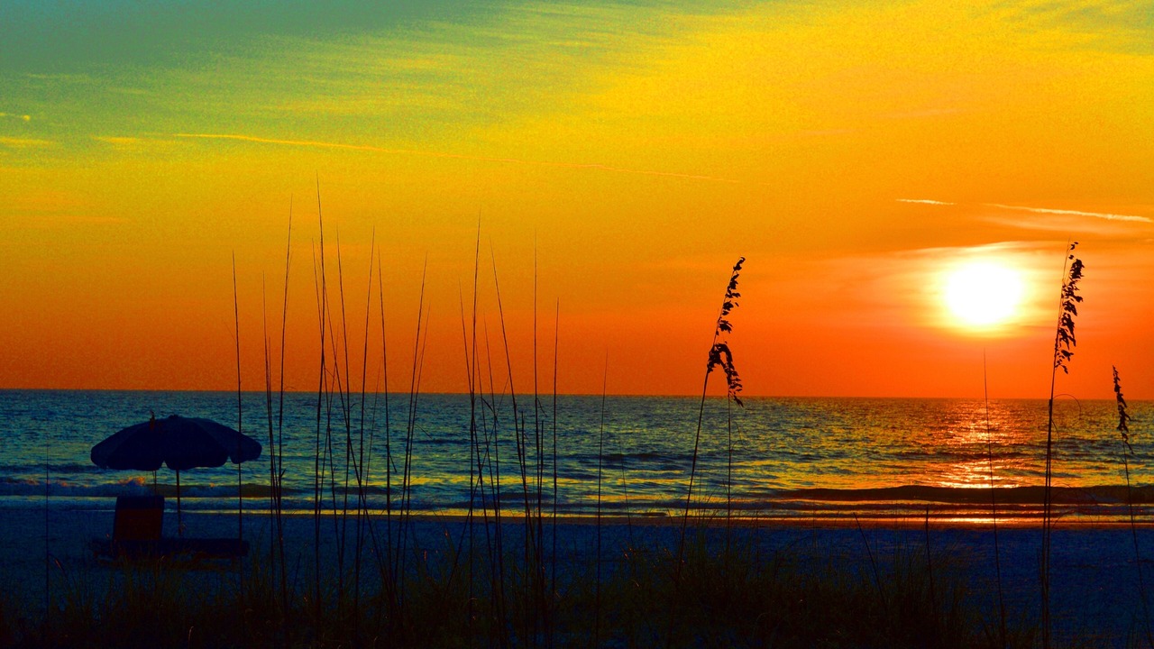 Photo of Others in Indian Shores