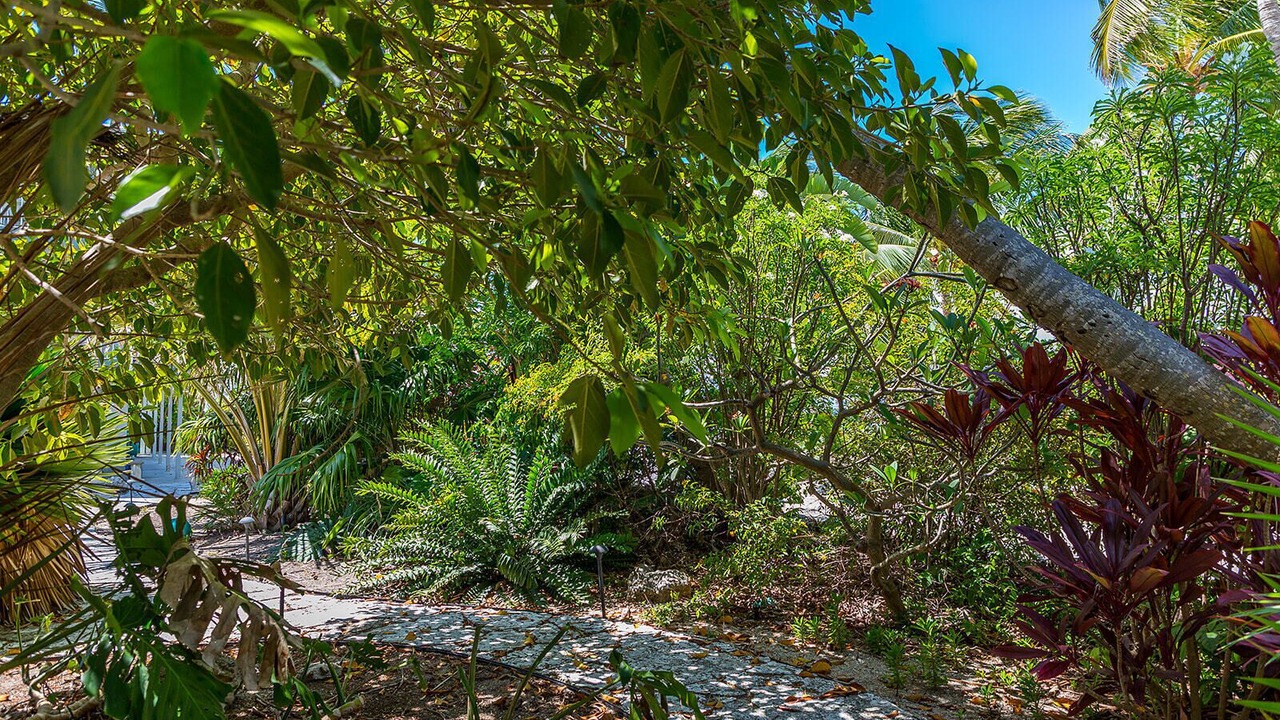 Photo of Outdoor in Islamorada
