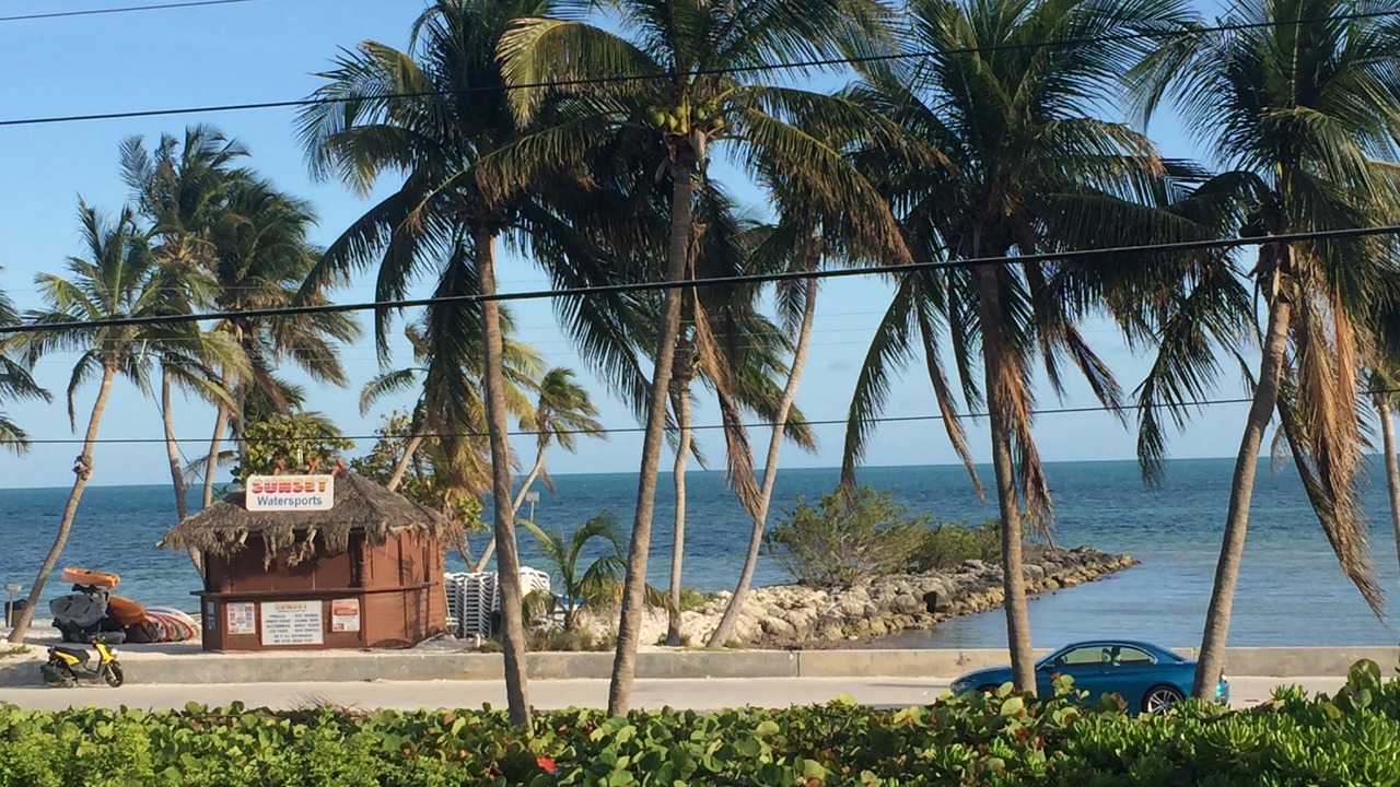 Photo of Others in Key West