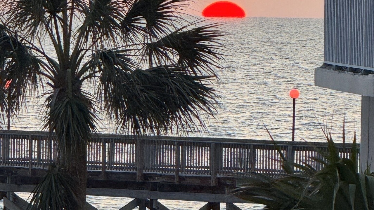 Photo of Outdoor in Indian Shores