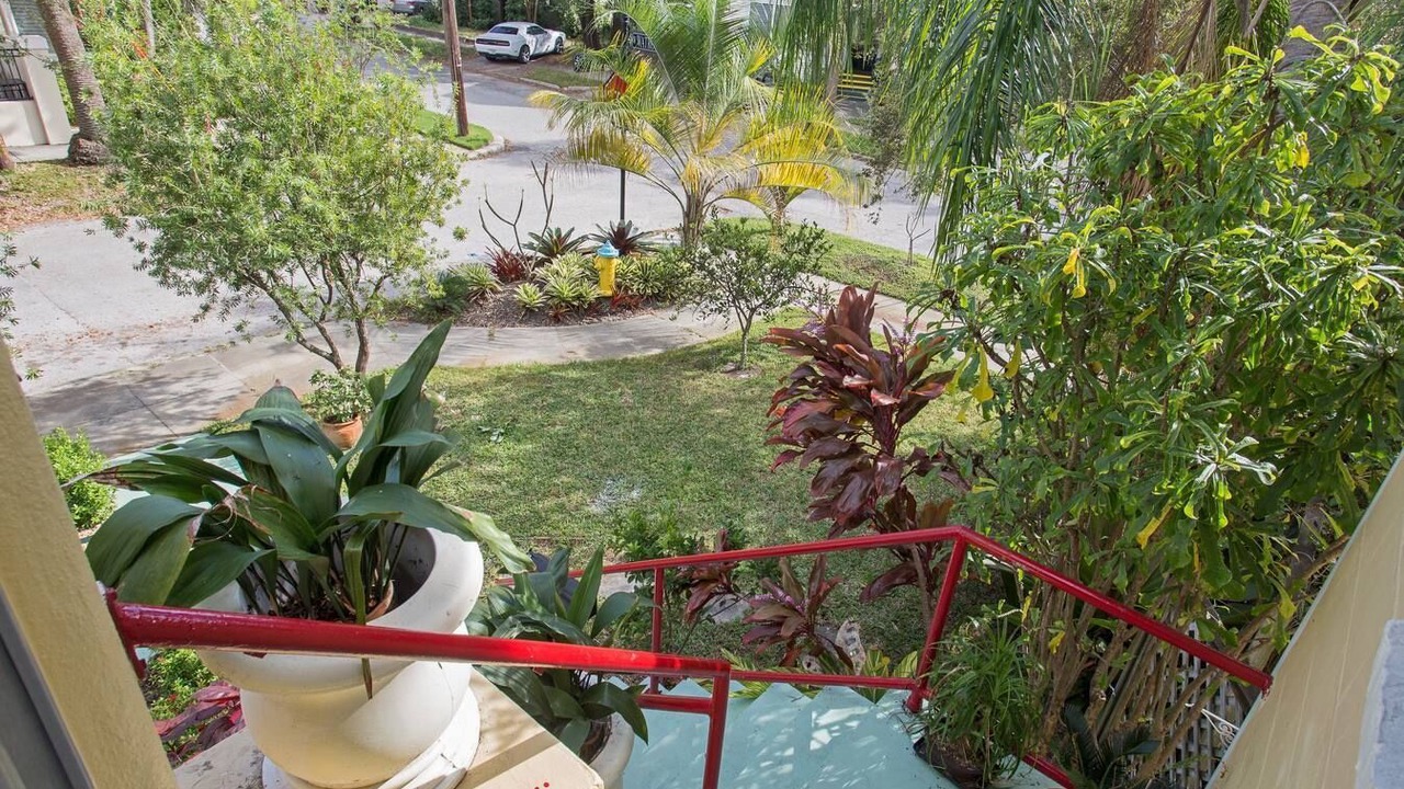 Photo of Outdoor in Historic Hyde Park North