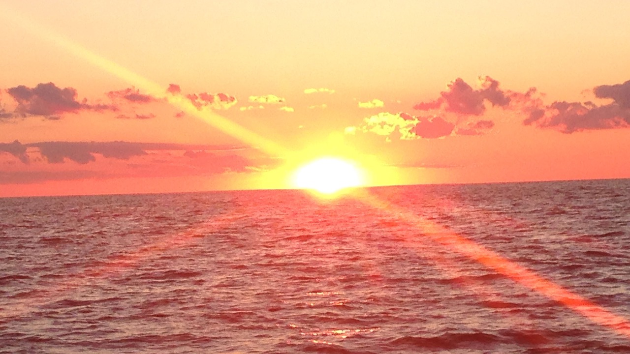 Photo of Others in Siesta Key