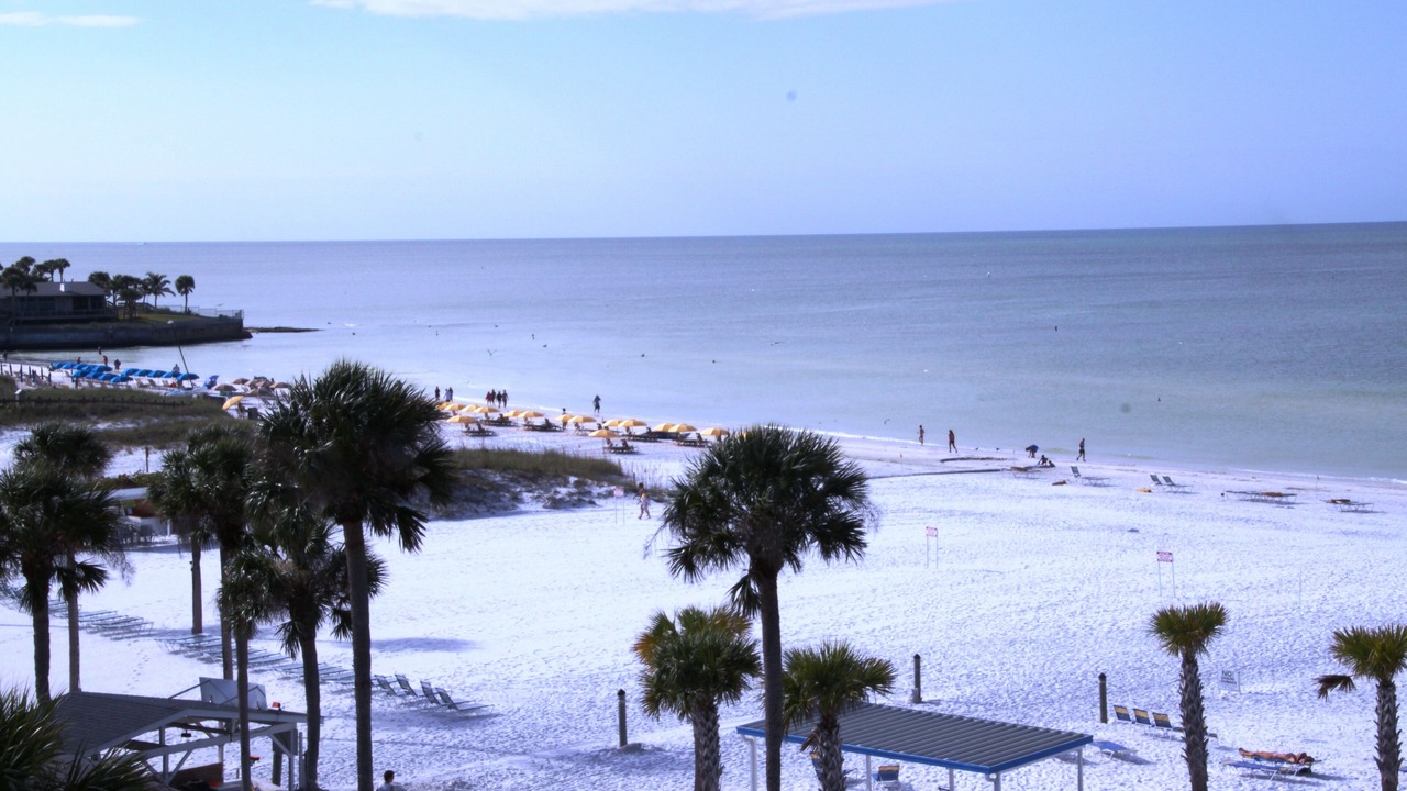 Photo of Others in Siesta Key