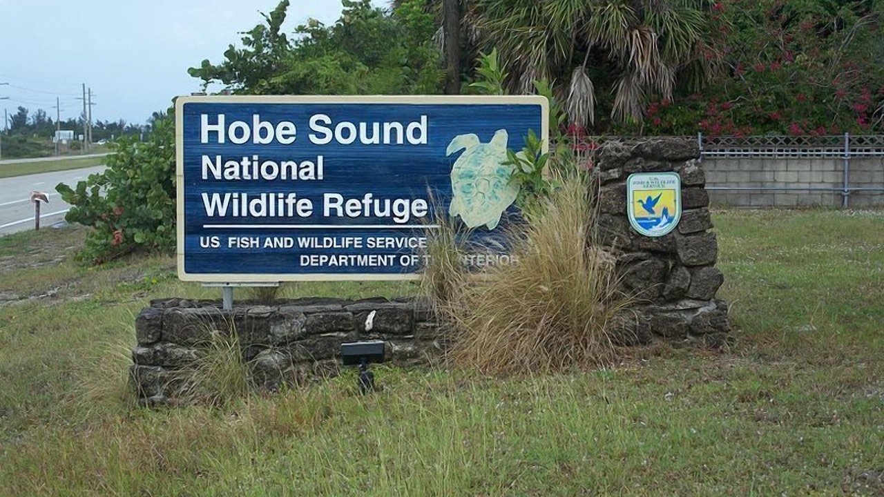 Photo of Others in Hobe Sound