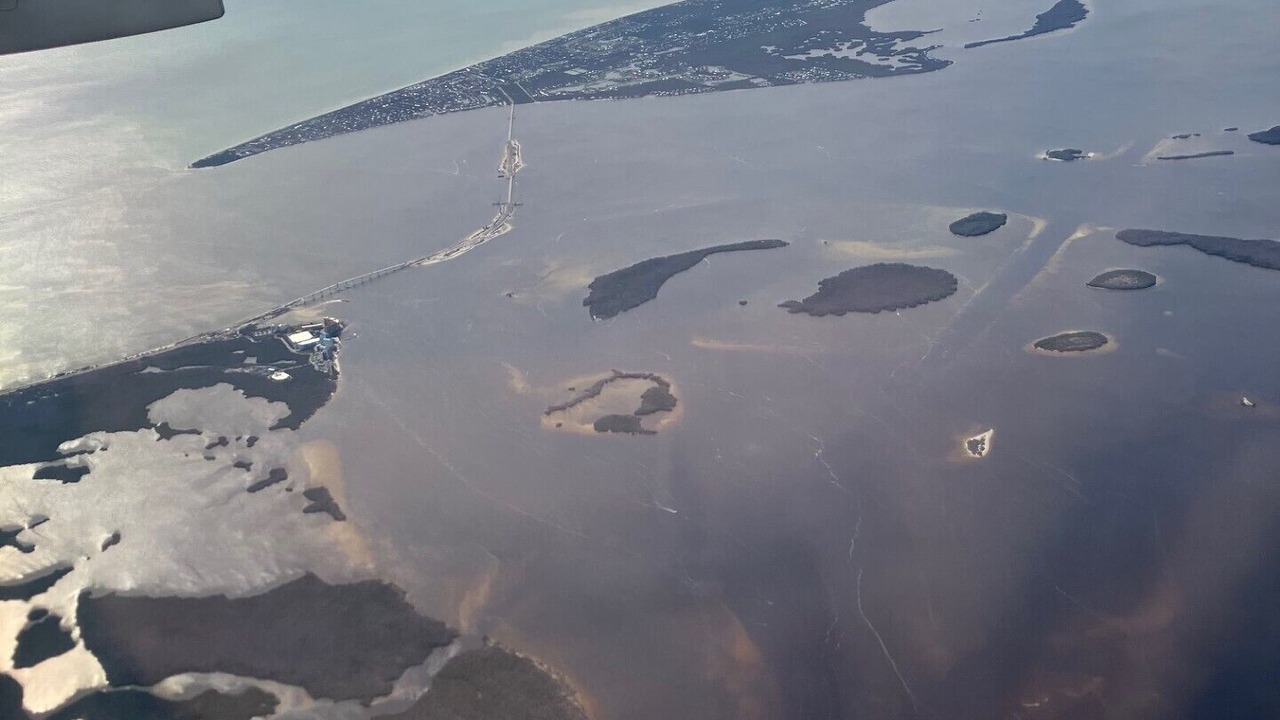 Photo of Others in Sanibel
