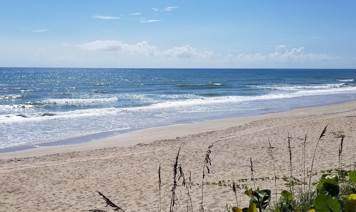 Photo of Others in Melbourne Beach