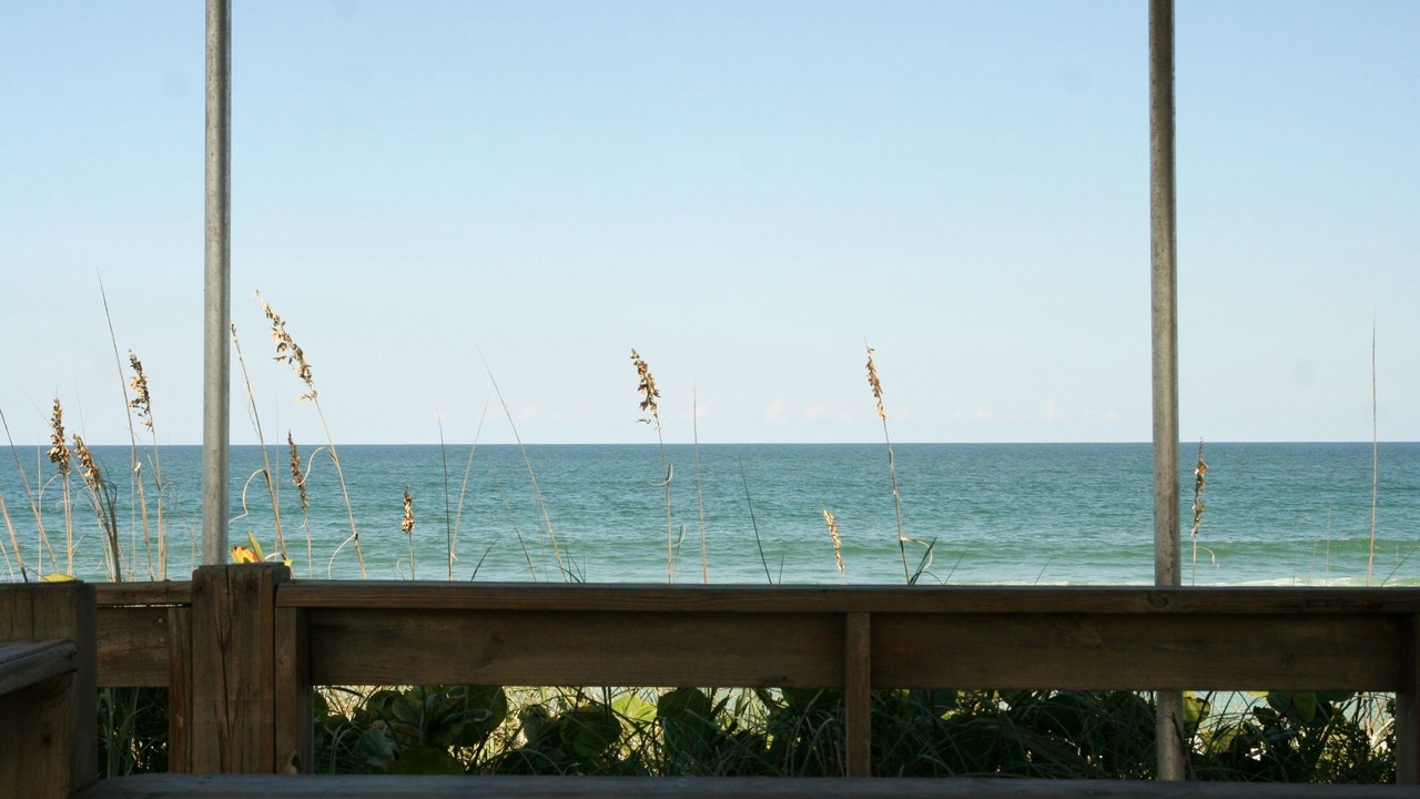 Photo of Others in Melbourne Beach