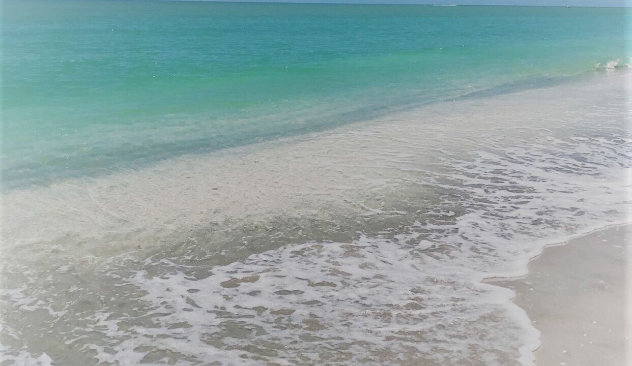 Photo of Others in Sanibel